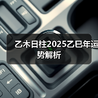 乙木日柱2025乙巳年运势解析(图3) 乙木日柱2025乙巳年运势解析(图3)