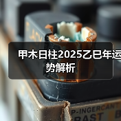 甲木日柱2025乙巳年运势解析(图1) 甲木日柱2025乙巳年运势解析(图1)