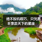 绝不投机取巧,只凭真本事赢天下的星座(图4) 绝不投机取巧,只凭真本事赢天下的星座(图4)