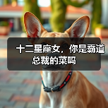 十二星座女,你是霸道总裁的菜吗(图1) 十二星座女,你是霸道总裁的菜吗(图1)