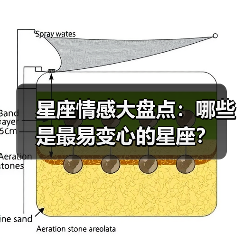 星座情感大盘点:哪些是最易变心的星座?(图4) 星座情感大盘点:哪些是最易变心的星座?(图4)