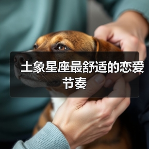 土象星座最舒适的恋爱节奏(图2) 土象星座最舒适的恋爱节奏(图2)
