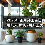 2025年正月开工吉日有哪几天 新历2月开工大吉时间表(图4) 2025年正月开工吉日有哪几天 新历2月开工大吉时间表(图4)