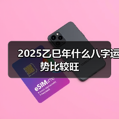 2025乙巳年什么八字运势比较旺(图4) 2025乙巳年什么八字运势比较旺(图4)