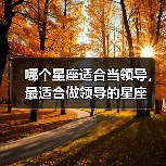 哪个星座适合当领导,最适合做领导的星座(图1) 哪个星座适合当领导,最适合做领导的星座(图1)