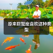 原来巨蟹座喜欢这种类型(图3) 原来巨蟹座喜欢这种类型(图3)