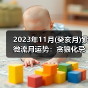 2023年11月(癸亥月)紫微流月运势:贪狼化忌(图1) 2023年11月(癸亥月)紫微流月运势:贪狼化忌(图1)