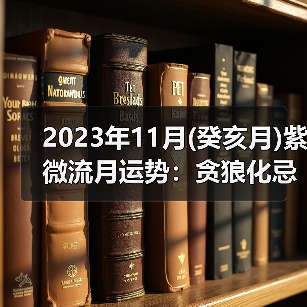2023年11月(癸亥月)紫微流月运势:贪狼化忌(图3) 2023年11月(癸亥月)紫微流月运势:贪狼化忌(图3)