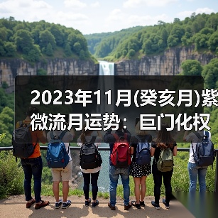 2023年11月(癸亥月)紫微流月运势:巨门化权(图1) 2023年11月(癸亥月)紫微流月运势:巨门化权(图1)
