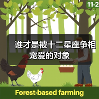 谁才是被十二星座争相宠爱的对象（图3）