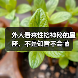 外人看来性格神秘的星座，不是知音不会懂（图2）