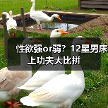 性欲强or弱?12星男床上功夫大比拼(图2) 性欲强or弱?12星男床上功夫大比拼(图2)