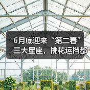 6月底迎来“第二春”三大星座,桃花运挡都挡不住!(图4) 6月底迎来“第二春”三大星座,桃花运挡都挡不住!(图4)
