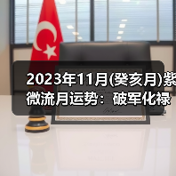 2023年11月(癸亥月)紫微流月运势：破军化禄（图3）
