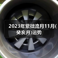2023年紫微流月11月(癸亥月)运势（图4）
