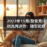 2023年11月(癸亥月)紫微流月运势：破军化禄（图2）