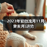 2023年紫微流月11月(癸亥月)运势（图3）
