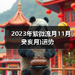 2023年紫微流月11月(癸亥月)运势（图2）
