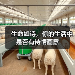 生命如诗，你的生活中是否有诗情画意（图2）