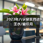 2023年八字癸亥月运势：壬水/偏印月（图4）