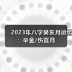 2023年八字癸亥月运势：辛金/伤官月（图4）