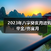 2023年八字癸亥月运势：辛金/伤官月（图2）