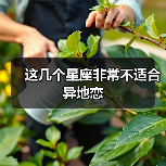 这几个星座非常不适合异地恋(图2) 这几个星座非常不适合异地恋(图2)