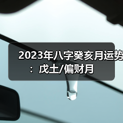 2023年八字癸亥月运势：戊土/偏财月（图4）