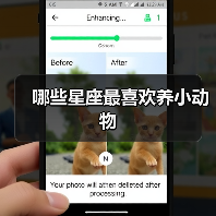 哪些星座最喜欢养小动物（图1）