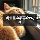哪些星座最喜欢养小动物（图3）