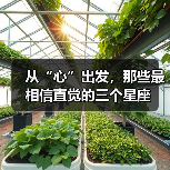 从“心”出发,那些最相信直觉的三个星座(图4) 从“心”出发,那些最相信直觉的三个星座(图4)