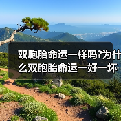 双胞胎命运一样吗?为什么双胞胎命运一好一坏？（图4）