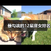 最勾魂的12星座女排名（图1）