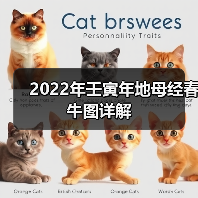 2022年壬寅年地母经春牛图详解（图4）