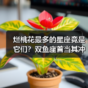 烂桃花最多的星座竟是它们？双鱼座首当其冲（图1）