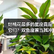 烂桃花最多的星座竟是它们？双鱼座首当其冲（图4）