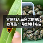 容易陷入三角恋的星座有哪些?情感纠结难自拔(图4) 容易陷入三角恋的星座有哪些?情感纠结难自拔(图4)