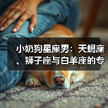 小奶狗星座男：天蝎座、狮子座与白羊座的专属魅力（图4）