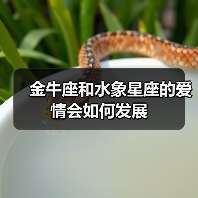 金牛座和水象星座的爱情会如何发展(图3) 金牛座和水象星座的爱情会如何发展(图3)