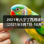 2021年八字丁酉月运势(2021年9月7日-10月7日)（图4）