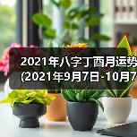 2021年八字丁酉月运势(2021年9月7日-10月7日)（图2）