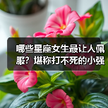 哪些星座女生最让人佩服？堪称打不死的小强（图4）