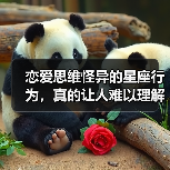 恋爱思维怪异的星座行为，真的让人难以理解？（图4）