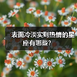 表面冷淡实则热情的星座有哪些？（图4）