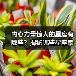 内心力量惊人的星座有哪些?揭秘哪些星座最坚韧不拔(图4) 内心力量惊人的星座有哪些?揭秘哪些星座最坚韧不拔(图4)