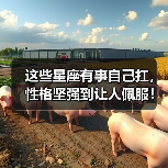 这些星座有事自己扛，性格坚强到让人佩服！（图3）