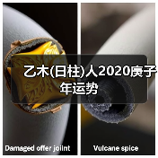 乙木(日柱)人2020庚子年运势（图4）