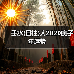 壬水(日柱)人2020庚子年运势（图3）