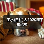 壬水(日柱)人2020庚子年运势（图2）