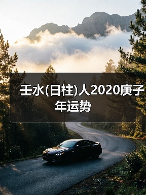 壬水(日柱)人2020庚子年运势（图4）